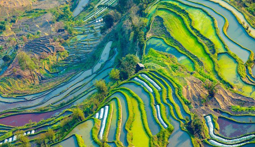 走进伍家岗区TVC拍摄：解锁本地化场景与创意镜头的完美融合